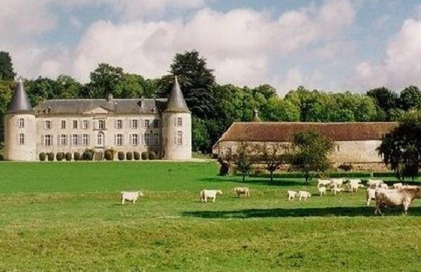 Chateau De Beaujeu Sens-Beaujeu Exterior photo